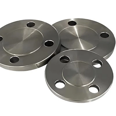 Gr5 Titanium Flange Free Sample Gr5 Titanium Flange Free Sample